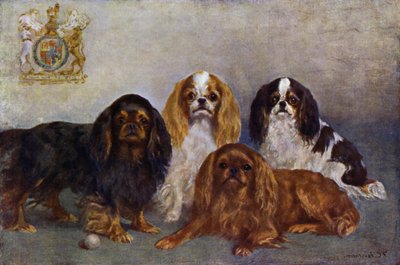 King Charles Spaniels von Frances C. Fairman